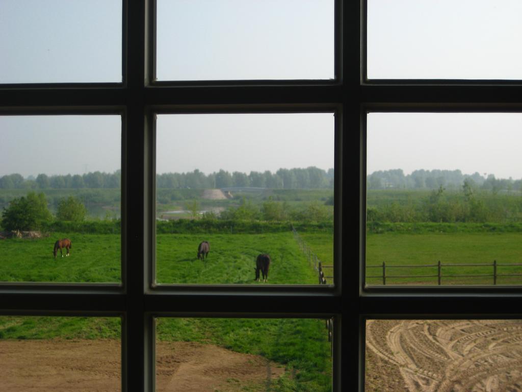 Vakantiehuis Aen de Roderburgh Maaseik Buitenkant foto